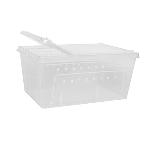 Aymzbd 10x Insekten Terrarien Brutbox Brutbehälter, 1x breit groß von Aymzbd
