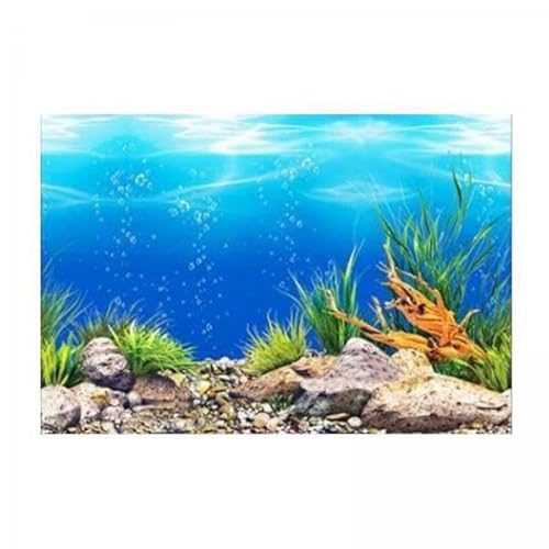 Aymzbd 2xOzean PVC Hintergrund für Aquarium Dekoration 40x62cm von Aymzbd