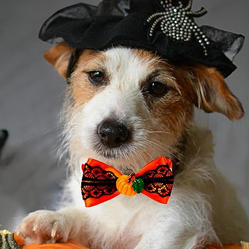 Aymzbd 3 X Katzen Halsband, Herbst Halloween Haustier Fliege mit Verstellbaren Hunde Krawatten, Thanksgiving Katzen Hunde Fliege, Katzen Fliege für, Th von Aymzbd