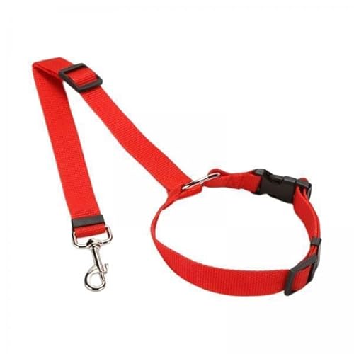 Aymzbd 5X Kurze Reisen Täglich Nutzen Sie Accessoires Camping Wanderung Rot von Aymzbd