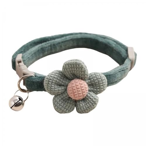 Aymzbd 5xcat Choker Halskette mit Glockenkragen, mit Schnalle, Glockenhalshändler, Hundekette für Kätzchen Kaninchen Kleine Mittelgroße Hunde Katzenversorgun von Aymzbd