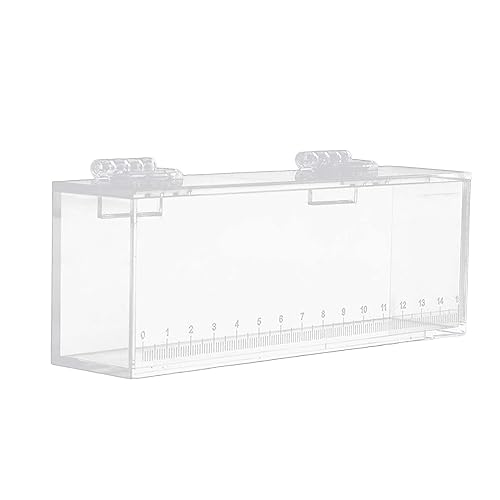 Aymzbd Angeln Foto Tank Fisch Betrachtungsbox Acryl Brutkasten Klare Mikrolandschaft Aquarium Fischzüchter Isolations Brutkasten mit Skala, l von Aymzbd