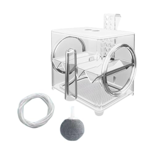 Aymzbd Aquarium Brutkasten für Guppy Clownfisch und verletzte Garnelen Aymzbd Aquarium Brutkasten für Guppy Clownfisch und verletzte Garnelen von Aymzbd