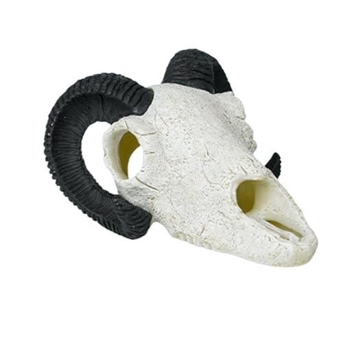 Aymzbd Aquarium Dekor Tierschädel Statue Skelett Tierkopf für Fischschildkröten Versteck, Schwarzes Schafhorn Aymzbd Aquarium Dekor Tierschädel Statue Skelett Tierkopf für Fischschildkröten Versteck, Schwarzes Schafhorn von Aymzbd