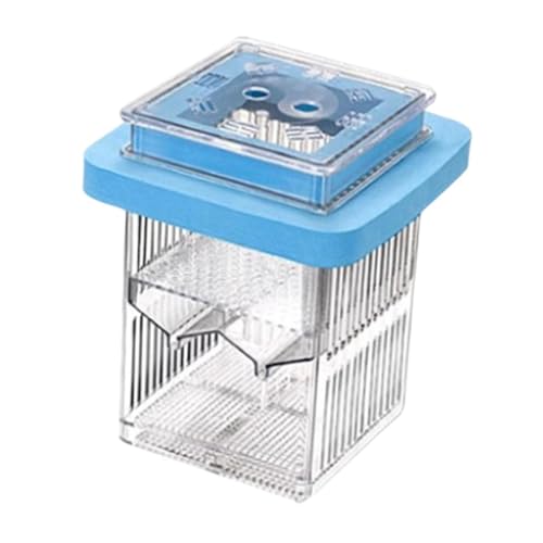 Aymzbd Fischzucht Inkubator für Babyfische mit Abnehmbarem Rahmen Und Isolation, Blau von Aymzbd