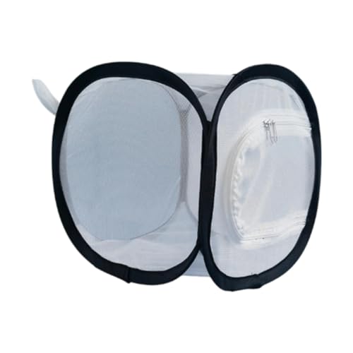 Aymzbd Insektennetz Käfig Terrarium Pflanzen Netz Tuch Wissenschaft Kit Natur Exploration Aymzbd Insektennetz Käfig Terrarium Pflanzen Netz Tuch Wissenschaft Kit Natur Exploration von Aymzbd