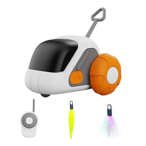 Aymzbd Katzenspielzeug mit Automatischer Bewegung, Interaktives Spielgerät für Katzen, USB Betrieben Und Wiederaufladbar, Orange Aymzbd Katzenspielzeug mit Automatischer Bewegung, Interaktives Spielgerät für Katzen, USB Betrieben Und Wiederaufladbar, Orange von Aymzbd