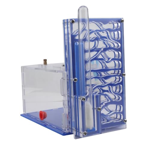 Aymzbd Nest Compact DIY Feuchtigkeitshaus Nistkasten für Wissenschaftsbeobachtung Wohnzimmer Home Küche, Blau Aymzbd Nest Compact DIY Feuchtigkeitshaus Nistkasten für Wissenschaftsbeobachtung Wohnzimmer Home Küche, Blau von Aymzbd