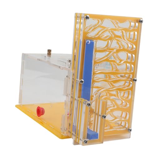Aymzbd Nest Compact DIY Feuchtigkeitshaus Nistkasten für Wissenschaftsbeobachtung Wohnzimmer Home Küche, Gelb Aymzbd Nest Compact DIY Feuchtigkeitshaus Nistkasten für Wissenschaftsbeobachtung Wohnzimmer Home Küche, Gelb von Aymzbd