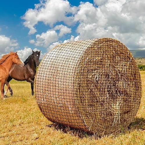 Heunetz für Pferde, 5x5FT Stabiles Verschleißfestes Heunetz Rundballen für Pferde zur Artgerechten Fütterung, Rundballennetz für Heuraufe geeignet, Heuballennetz Engmaschig(Maschenweite 4,5x4,5cm) Heunetz für Pferde, 5x5FT Stabiles Verschleißfestes Heunetz Rundballen für Pferde zur Artgerechten Fütterung, Rundballennetz für Heuraufe geeignet, Heuballennetz Engmaschig(Maschenweite 4,5x4,5cm) von Ayolofei