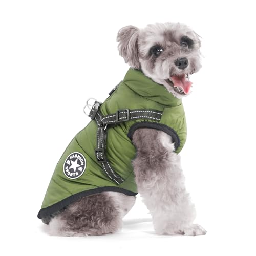 Aywoja Hundemantel Winter Mit Geschirr für Kleine Hunde - Wasserdicht, Maschinenwaschbar, Reflektierender Streifen, Haltbarer D-Ring von Aywoja