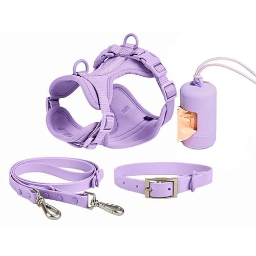 Azarton PelsbarnN Atmungsbares Hundegeschirr mit Leine, 4-teiliges Set - Verstellbar, gepolstert für Hunde (Violet,M) von Azarton