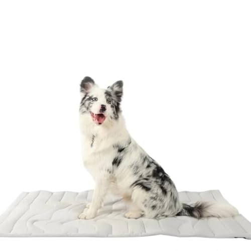 Dr.Pfoten Pfotenchill Innovative Hundekühlmatte – Selbstkühlend ohne Wasser & Strom, Faltbar & Tragbar, Kühlpad für kleine & große Hunde, Ideal für Sommer, Auto, Sofa & Hundebett (M(91 * 58CM)) Dr.Pfoten Pfotenchill Innovative Hundekühlmatte – Selbstkühlend ohne Wasser & Strom, Faltbar & Tragbar, Kühlpad für kleine & große Hunde, Ideal für Sommer, Auto, Sofa & Hundebett (M(91 * 58CM)) von Azarton