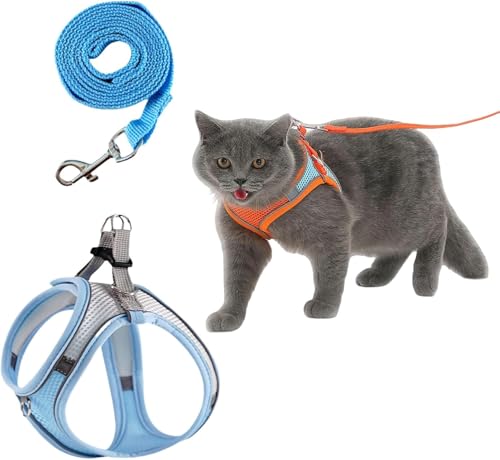 Serenosole CatVenture | Bequemes Katzengeschirr & Hundegeschirr Set – Verstellbar, Step-in Design, Reflektierende Streifen, No-Pull Brustgeschirr mit Leine für kleine Hunde & Katzen (Blau,M) von Azarton