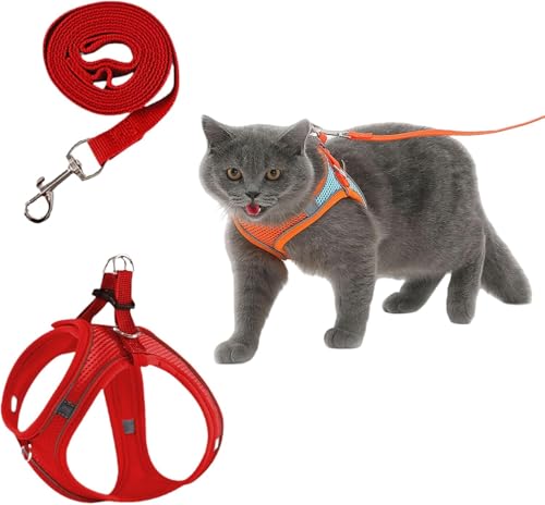 Serenosole CatVenture | Bequemes Katzengeschirr & Hundegeschirr Set – Verstellbar, Step-in Design, Reflektierende Streifen, No-Pull Brustgeschirr mit Leine für kleine Hunde & Katzen (Rot,XXS) von Azarton
