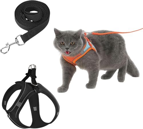 Serenosole CatVenture | Bequemes Katzengeschirr & Hundegeschirr Set – Verstellbar, Step-in Design, Reflektierende Streifen, No-Pull Brustgeschirr mit Leine für kleine Hunde & Katzen (Schwarz,M) von Azarton