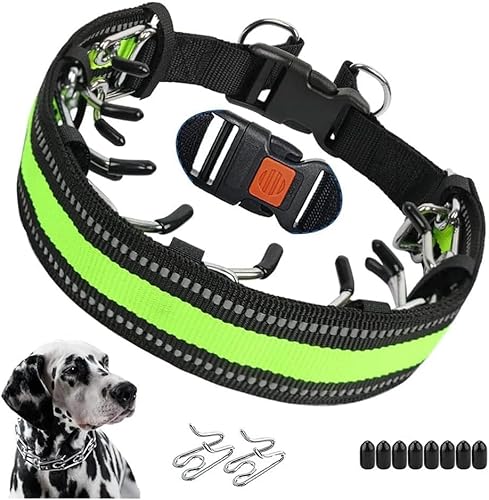 knuddelpfoten Kilian | Verstellbares Hundehalsband aus Edelstahl – Reißfestes, Robustes Halsband mit Schnellverschluss – Komfortabel & pflegeleicht für mittelgroße & große Hunde (M,Grün) von Azarton