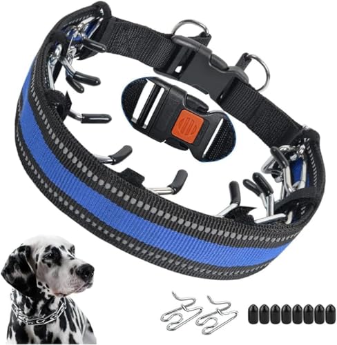 knuddelpfoten Kilian | Verstellbares Hundehalsband aus Edelstahl – Reißfestes, Robustes Halsband mit Schnellverschluss – Komfortabel & pflegeleicht für mittelgroße & große Hunde (S,Blau) von Azarton