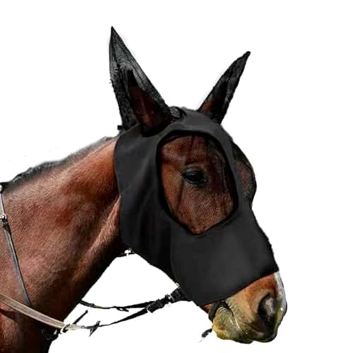 Fliegenmaske für Pferde mit Ohren, glatt und hochelastisch, Stoff, atmungsaktives Mesh, UV-Schutz, schwarz Fliegenmaske für Pferde mit Ohren, glatt und hochelastisch, Stoff, atmungsaktives Mesh, UV-Schutz, schwarz von Azatemgo