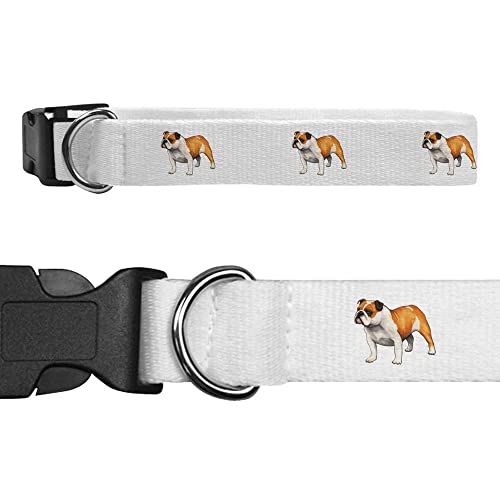 Groß 'Englische Bulldogge' Hundehalsband (PR00012782) von Azeeda
