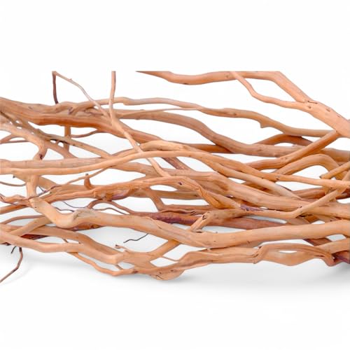 Azil Natürliche Treibholz-Wurzelmischung, 150 g, für Aquarium-Dekorationen, perfekt für Aquarien, Süßwasserbecken, Terrarien, Feengärten, Aquascaping, Hardscaping und Aquarienpflanzen Azil Natürliche Treibholz-Wurzelmischung, 150 g, für Aquarium-Dekorationen, perfekt für Aquarien, Süßwasserbecken, Terrarien, Feengärten, Aquascaping, Hardscaping und Aquarienpflanzen von Azil