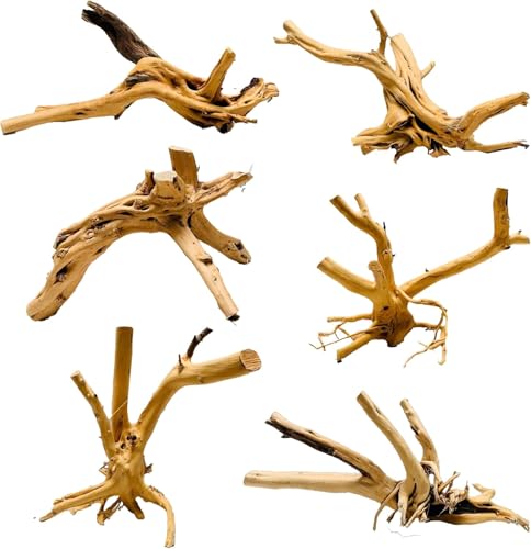Azil Spiderwood Natural Aquarium Azil Spiderwood Natural Aquarium von Azil