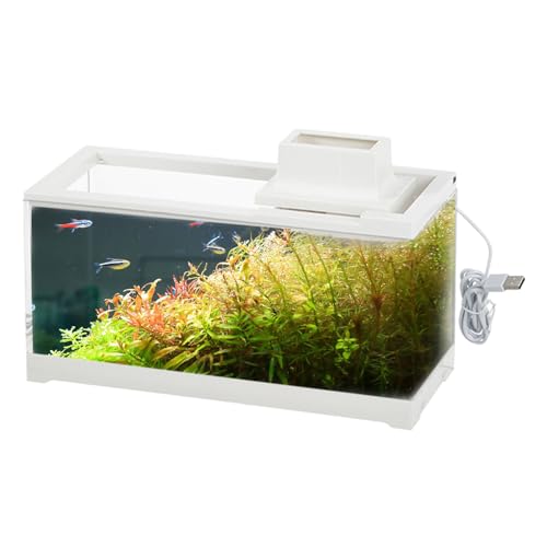 Aznever Desktop-Aquarium, kleines Aquarium | Transparentes, leises Schreibtischaquarium mit Wasserpumpe | Große Öffnung, auslaufsicher, beleuchtetes kleines Aquarium für Tische, Schreibtische, von Aznever