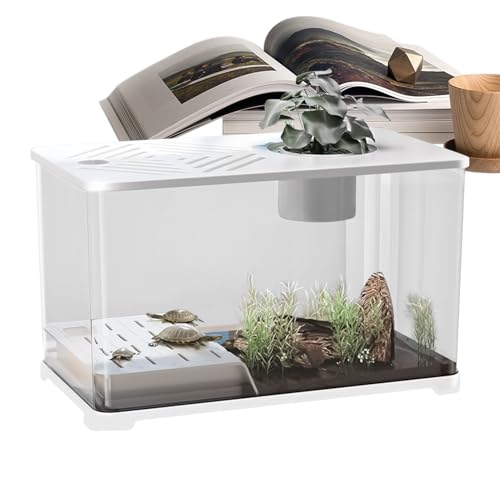 Fischbecken, Großes Aquarium Goldfisch Starterset, Modernes Panorama Behältnis als Tischdekoration für Fische Schildkröten Pflanzen Fischbecken, Großes Aquarium Goldfisch Starterset, Modernes Panorama Behältnis als Tischdekoration für Fische Schildkröten Pflanzen von Aznever