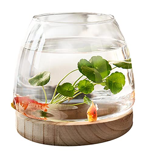 Aznever Hydroponische Vase | Hölzerne Unterstützung Transparente Fischglasvase aus Glas - Fish Bowl Ästhetische Heimdekoration, ökologisches Aquarium für Wohnzimmer, Badezimmer, Abendessen von Aznever