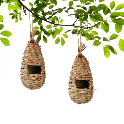2 Stück Handgewebte Vogelhäuser, Gras Bird Nest, Verschleißfest Hängender Vogelnest, Gras Vogelhaus zum Aufhängen, Hängevogelhaus aus Gras für Draußen, Garten, Fenster 2 Stück Handgewebte Vogelhäuser, Gras Bird Nest, Verschleißfest Hängender Vogelnest, Gras Vogelhaus zum Aufhängen, Hängevogelhaus aus Gras für Draußen, Garten, Fenster von Azonelife