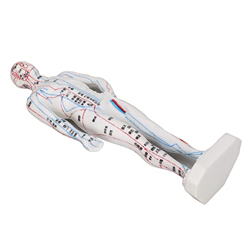 Azxcvbnm Aquarien Pflanzenbecher Hydrokultur Pflanzenklemme Für Mehrere Dicken Aquarien Hängende Aquarien Pflanzer Stützhalter Azxcvbnm Aquarien Pflanzenbecher Hydrokultur Pflanzenklemme Für Mehrere Dicken Aquarien Hängende Aquarien Pflanzer Stützhalter von Azxcvbnm