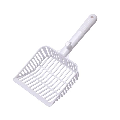 Azxcvbnm Katzenstreu Scoops Schaufel Meshes Schaufel Kätzchen Kartchen Lifter Leicht Zu Reinigen Zu Reinigen Geeignet Für Katzentoilette Schöpfer Azxcvbnm Katzenstreu Scoops Schaufel Meshes Schaufel Kätzchen Kartchen Lifter Leicht Zu Reinigen Zu Reinigen Geeignet Für Katzentoilette Schöpfer von Azxcvbnm