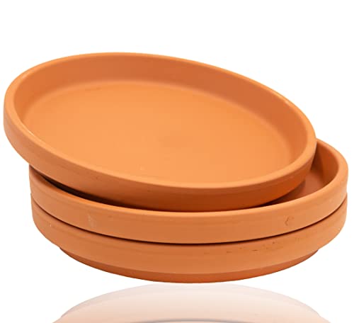 B2S BACK2SEASON Untersetzer aus Ton Pflanzenteller Terra imprägniert D= 15,4 cm 3er Set B2S BACK2SEASON Untersetzer aus Ton Pflanzenteller Terra imprägniert D= 15,4 cm 3er Set von B2S BACK2SEASON