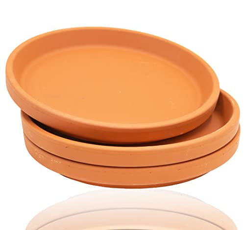 B2S BACK2SEASON Untersetzer aus Ton Pflanzenteller Terra imprägniert D= 17,6 cm 3er Set B2S BACK2SEASON Untersetzer aus Ton Pflanzenteller Terra imprägniert D= 17,6 cm 3er Set von B2S BACK2SEASON