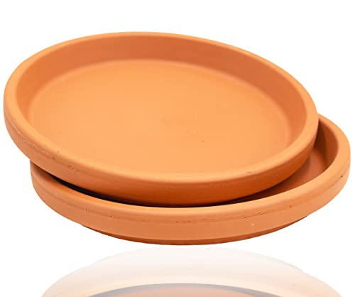 B2S BACK2SEASON Untersetzer aus Ton Pflanzenteller Terra imprägniert D= 19,8 cm 2er Set B2S BACK2SEASON Untersetzer aus Ton Pflanzenteller Terra imprägniert D= 19,8 cm 2er Set von B2S BACK2SEASON