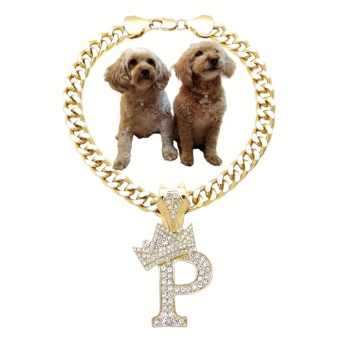 Kubanische Kette mit Initialbuchstabe, Haustierkette, Haustierkette, Katze, Welpe (P, 25,4 cm) von BA UNIQUE FASHION