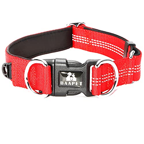 BAAPET Bequemes Hundehalsband mit doppeltem Sicherheits-D-Ring und ID-Tagen-Aufhänger für kleine Welpen, mittelgroße und große Hunde (M – 2,5 cm x 35,6 cm - 50,8 cm, rot) von BAAPET