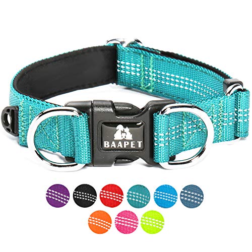 BAAPET Bequemes Hundehalsband mit doppeltem Sicherheits-Doppel-D-Ring und ID-Tag-Aufhänger für kleine Welpen, mittelgroße und große Hunde (L – 2,5 cm x (40,6–61 cm), Blaugrün von BAAPET