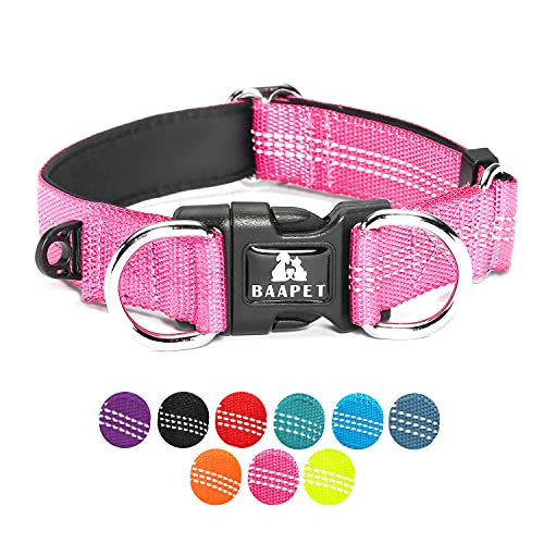 BAAPET Bequemes Hundehalsband mit doppeltem Sicherheits-Doppel-D-Ring und ID-Tagen-Aufhänger für kleine Welpen, mittelgroße und große Hunde (L - 2,5 cm x 16 cm - 24 Zoll), rosa von BAAPET