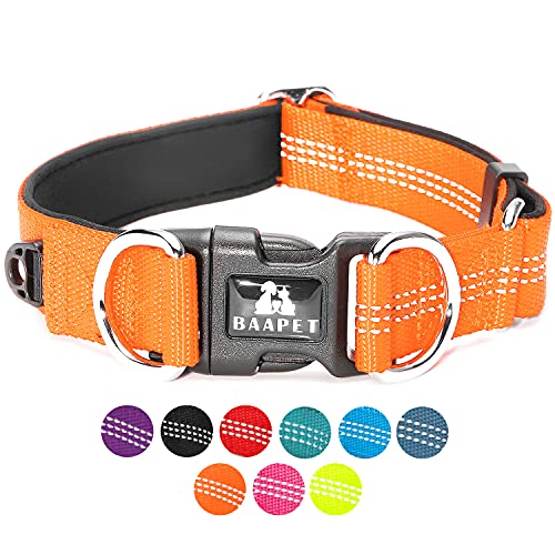 BAAPET Bequemes Hundehalsband mit doppeltem Sicherheitsd-Ring und ID-Tag-Aufhängung für kleine Welpen, mittelgroße und große Hunde (XXS-1,9 x 17,8 - 25,4 cm), Orange) von BAAPET