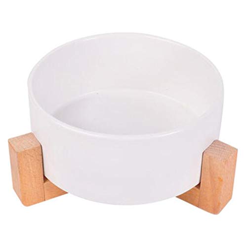Porzellanschüsseln, Keramikschüsseln, Müslischüsseln, Dessertschüsseln, Ramenschüsseln, Suppenschüsseln, Keramik-Futterschüsseln for Hunde, Katzen, Trinknapf, Haustierbedarf, Hundezubehör Porzellanschüsseln, Keramikschüsseln, Müslischüsseln, Dessertschüsseln, Ramenschüsseln, Suppenschüsseln, Keramik-Futterschüsseln for Hunde, Katzen, Trinknapf, Haustierbedarf, Hundezubehör von BABESA