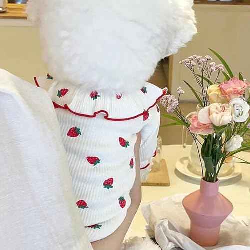 Hundeweste mit dünner Spitze, rosa Erdbeere, gemütliches Sommerkleid, Hundezubehör von BABIIE