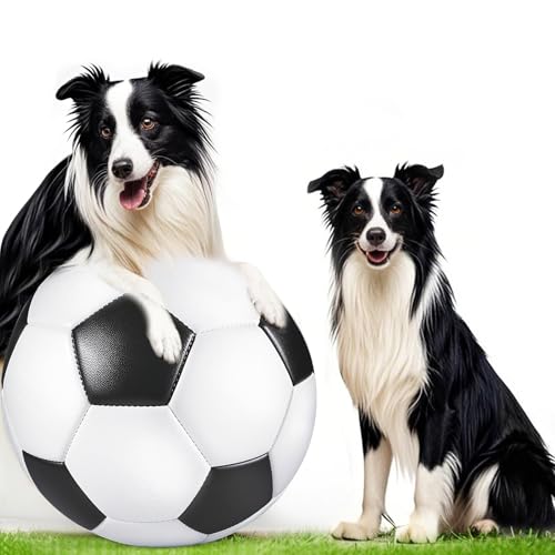BABORUI Herding Ball für Hunde, interaktives Hundespielzeug aus PU, 50 cm, Spielzeug für australische Collie, Border Collies, Hundebälle für große Hunde, um sie zu beschäftigen BABORUI Herding Ball für Hunde, interaktives Hundespielzeug aus PU, 50 cm, Spielzeug für australische Collie, Border Collies, Hundebälle für große Hunde, um sie zu beschäftigen von BABORUI