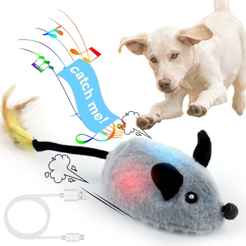 BABORUI Interaktives Hundespielzeug, Maus, quietschendes Hundespielzeug mit Lichtern und automatischem Drehen, wiederaufladbar, bewegliches Hundespielzeug für kleine/mittelgroße Hunde und Katzen von BABORUI