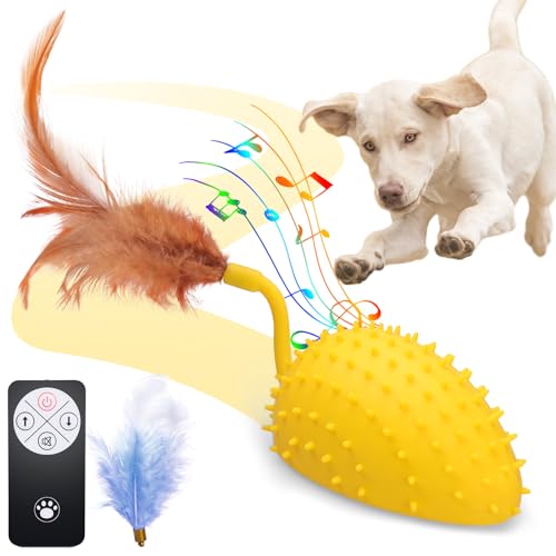 BABORUI Interaktives Hundespielzeug Maus, Fernbedienung, quietschendes Hundespielzeug, wiederaufladbar, bewegliches Hundespielzeug für kleine, mittelgroße und große Hunde/Welpen, um sie zu von BABORUI