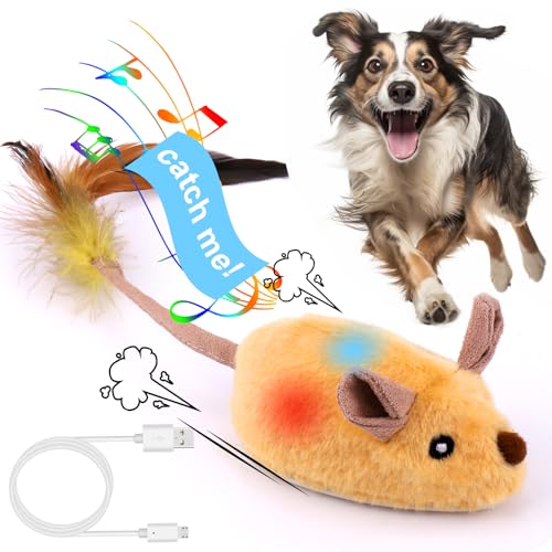 BABORUI Interaktives Hundespielzeug Maus, entfliehende Mäuse, quietschendes Hundespielzeug mit Lichtern und automatischer Drehung, wiederaufladbar, bewegliches Hundespielzeug für von BABORUI