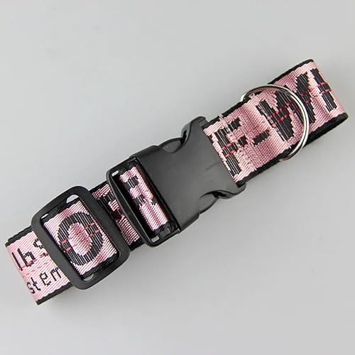 Hundehalsband-Leine-Set, Goldkette, Nylon, Hundehalsband, Leine, langes Seil, beschriftetes Halsband, Perro-Halsband for Pitbull-Welpen (Color : Pink Collar, Size : S) von BADALO