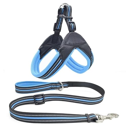 Tragbares Fischgräten-Hundegeschirr aus Nylon, reflektierende Seide, bequem, atmungsaktiv, schnell zu tragen (Color : Blue, Size : L) von BADALO