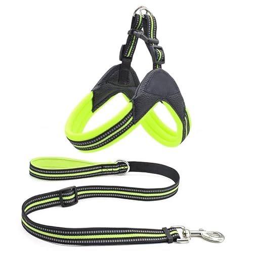 Tragbares Fischgräten-Hundegeschirr aus Nylon, reflektierende Seide, bequem, atmungsaktiv, schnell zu tragen (Color : Green, Size : L) von BADALO