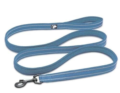 Weiche Mesh-Nylon-Hundeleine Doppelt Laufen Reflektierende Sicheres Gehen Training Haustier Hundeleine Leine Lager 200 cm Hot (Color : Blue, Size : S 200cm) von BADALO